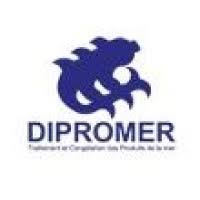 DIPROMER I